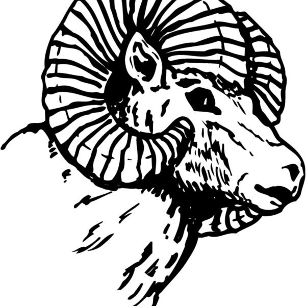 RAM005 Thumbnail